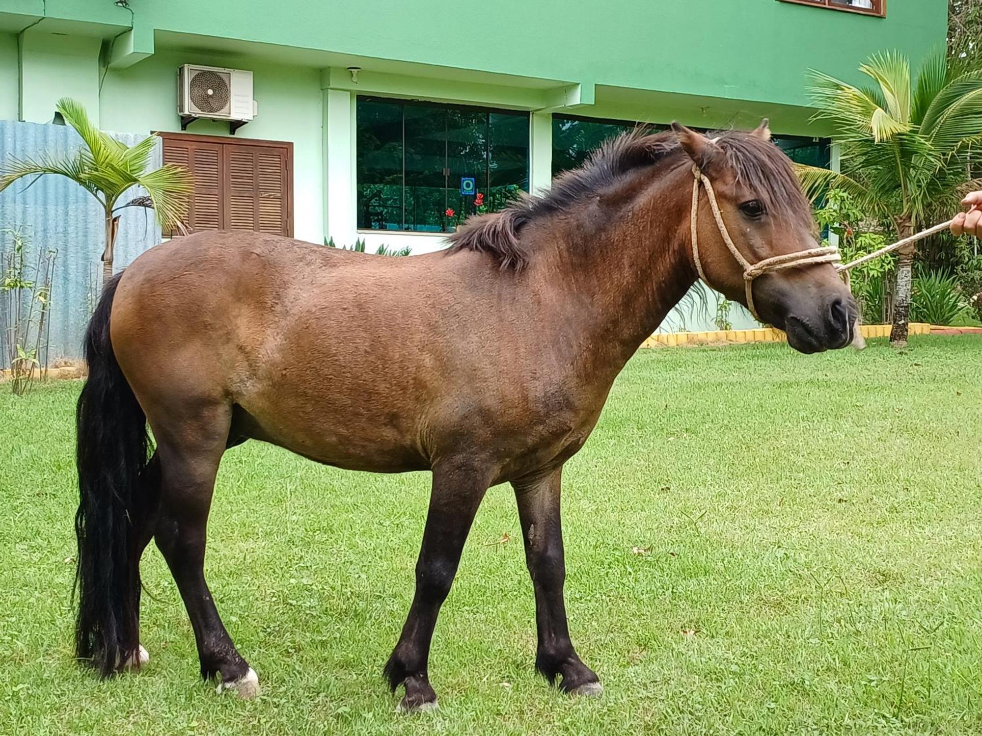 Hotel Pousada Chacara Rio Jordao Florianópolis Zewnętrze zdjęcie