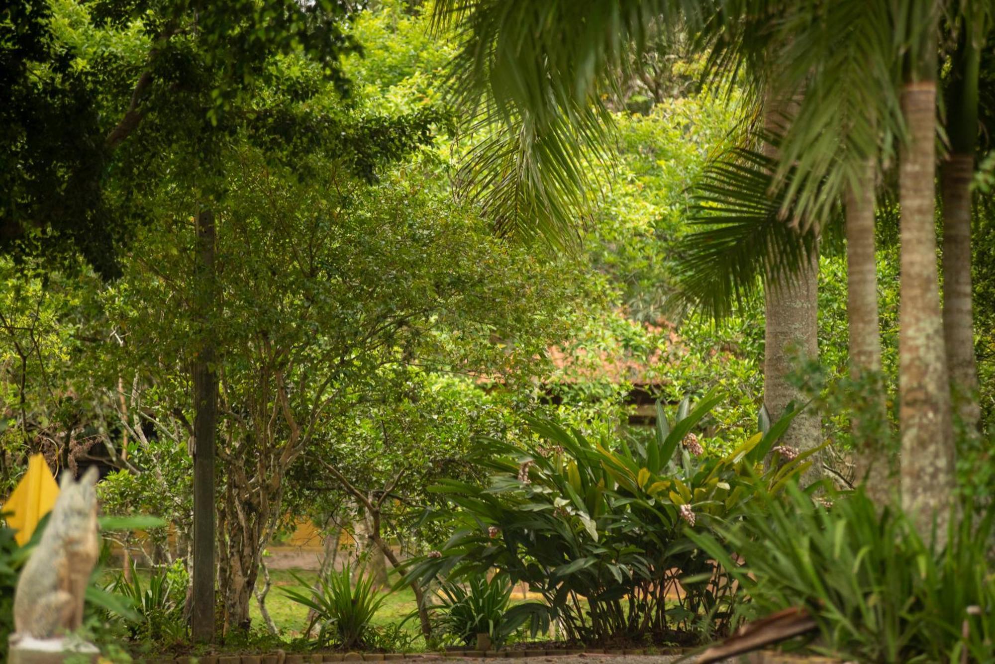 Hotel Pousada Chacara Rio Jordao Florianópolis Zewnętrze zdjęcie